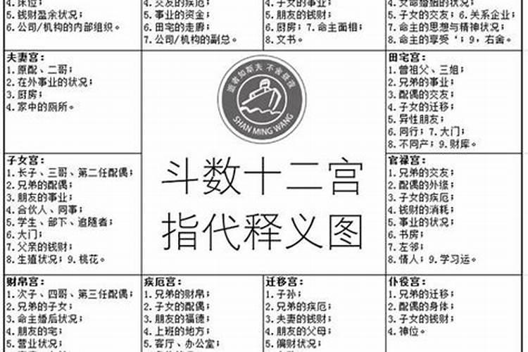 紫薇星盘八字排盘