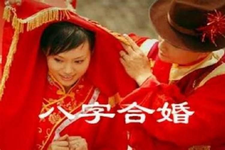 属鼠与属兔合婚吗婚姻如何