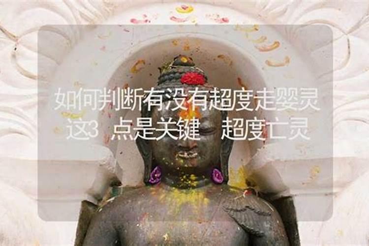 去寺院找师傅做法事可以吗