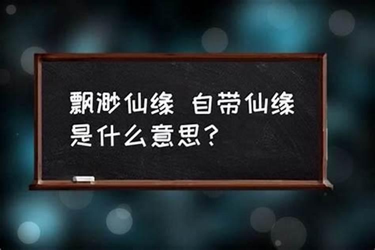 算命说我身边跟着一个狐仙