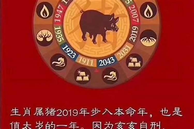 今年什么属相犯太岁2022年