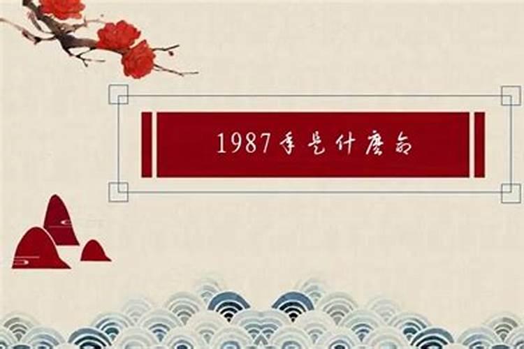 1987年出生哪一年是本命年了