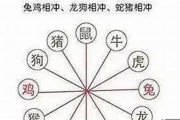 属相相冲的夫妻怎么化解