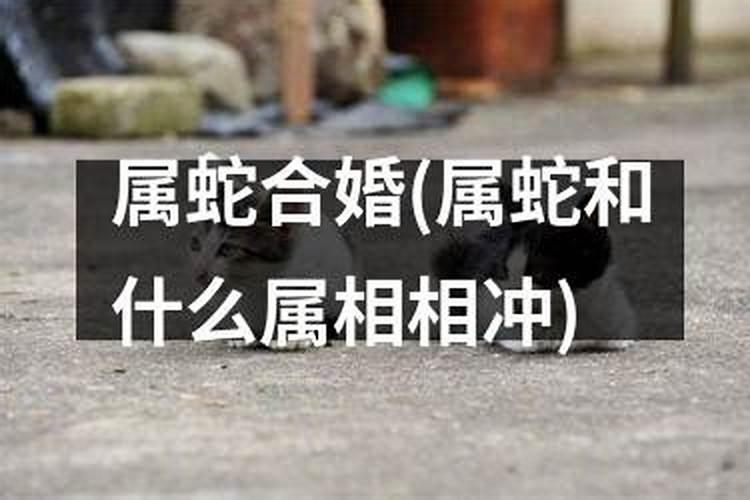 八字有伤官可以考公务员吗