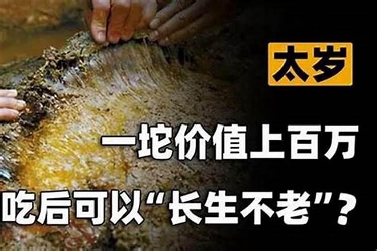 太岁能吃掉肿瘤细胞