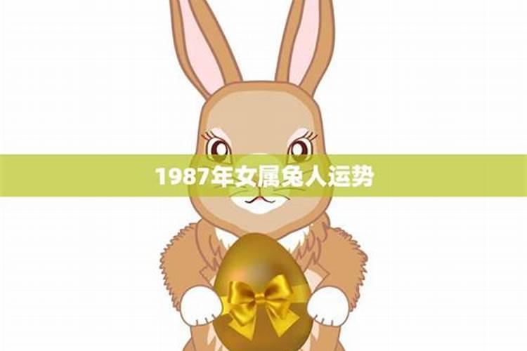 1987年6月属兔人的财运如何