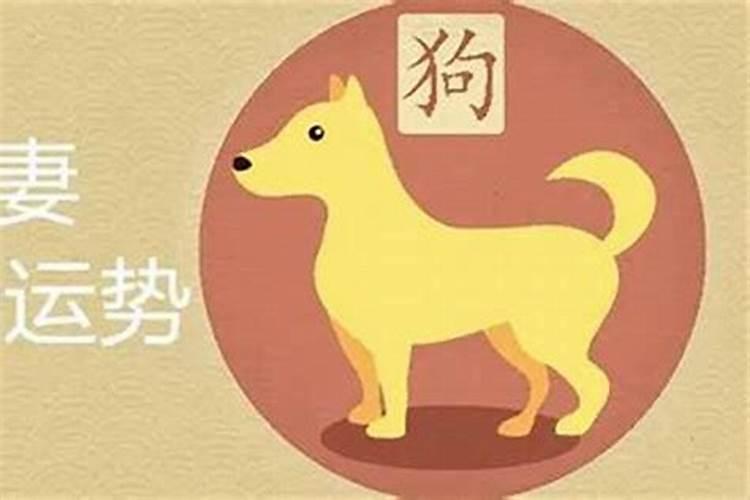 算姻缘属猪和属兔缘相配吗