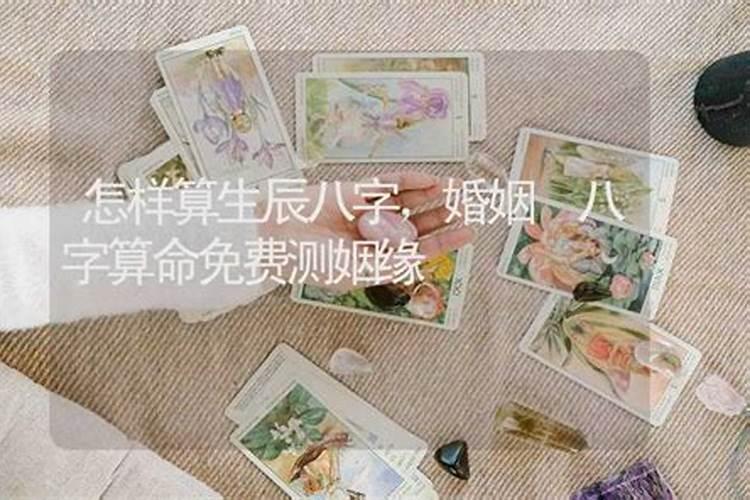 将军箭真箭假箭的八字区别