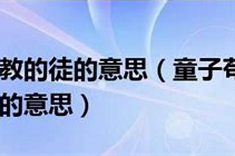 童子苟有志吾徒相教不求资也的意思