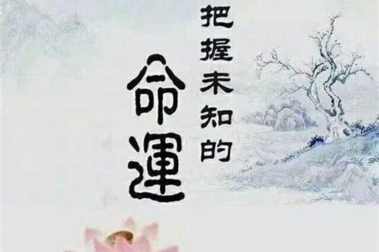 八字测事业财运测算