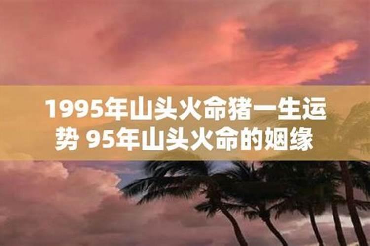 命是山头火是什么意思