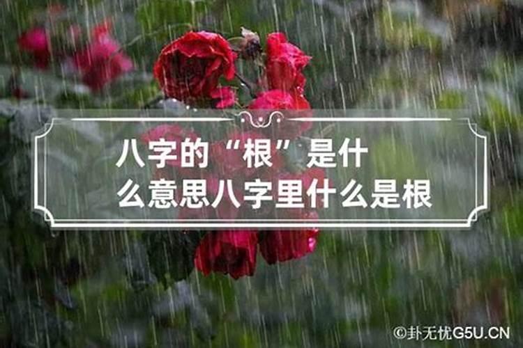 天罗在八字里什么意思