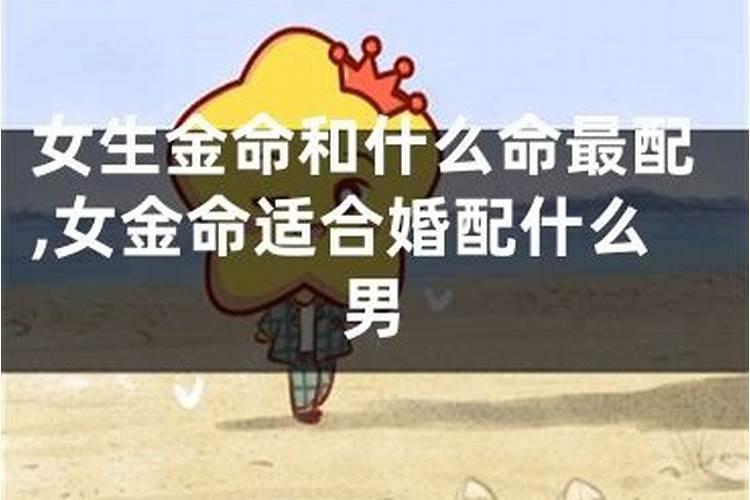 金命和什么命合婚