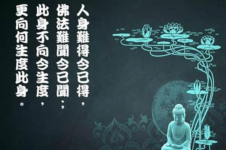 "此身不向今生度，更待何时度此身？"是什么意思？