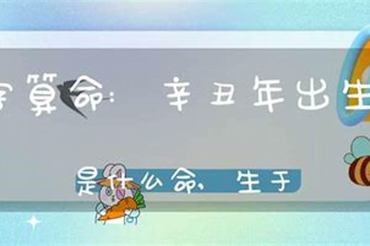 八字辛丑年运气