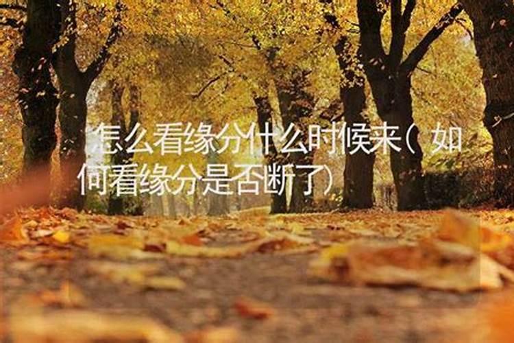 算命断了姻缘怎么办