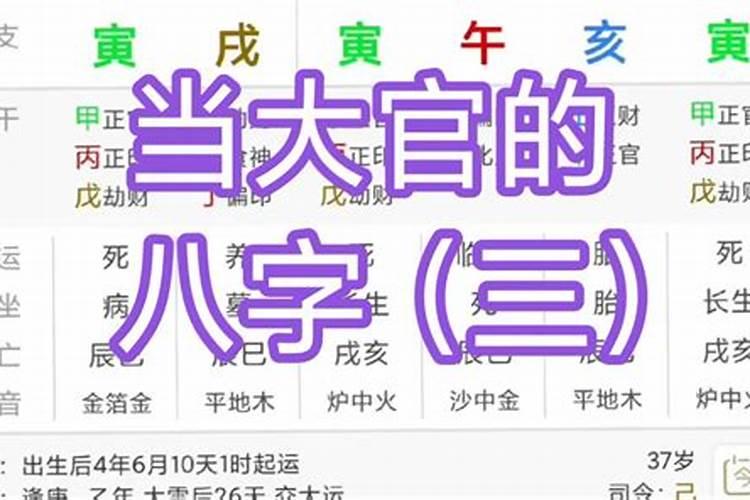 当大官的八字里都有将星么