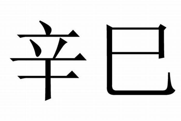 八字辛巳是什么意思