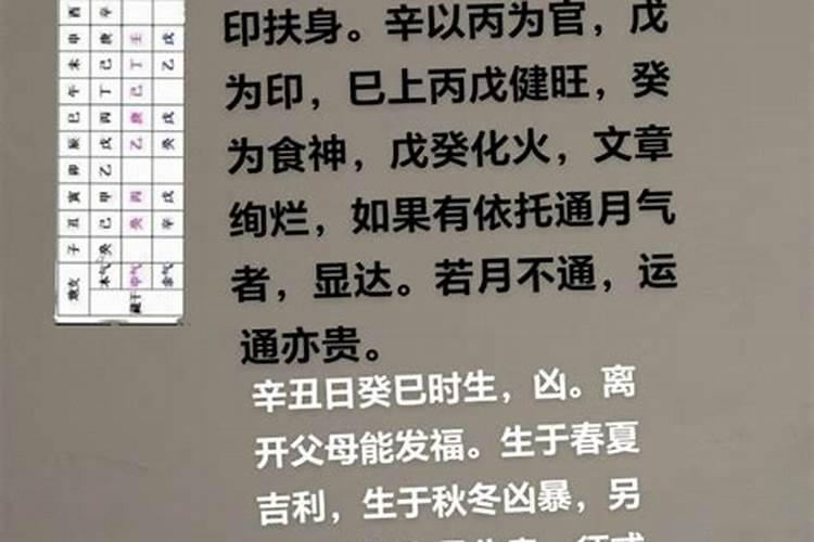 八字辛巳是什么意思