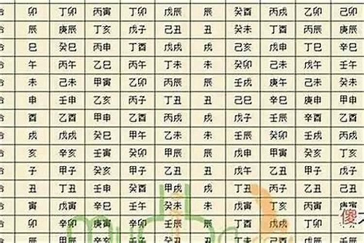 丙辰月丙辰日出生八字解析