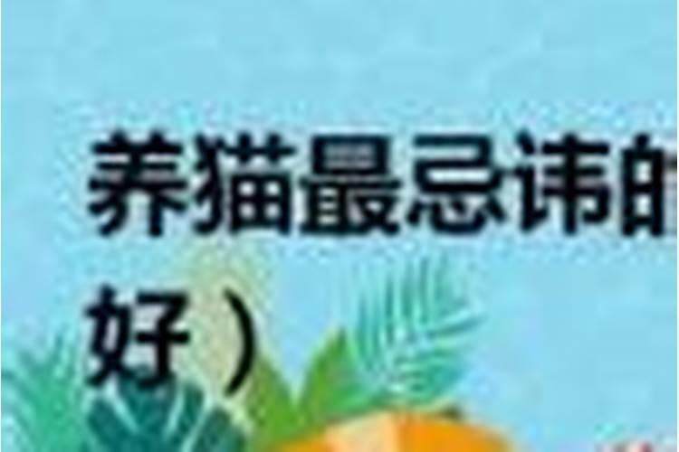 相亲要八字什么意思