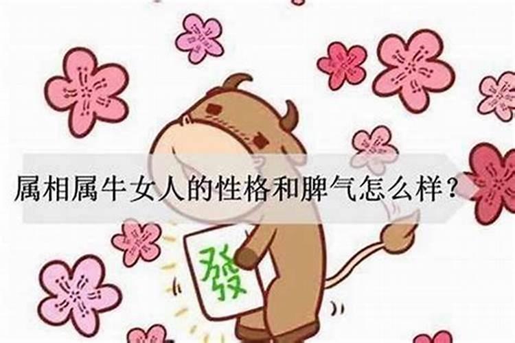 属相猪和属相兔合婚吗