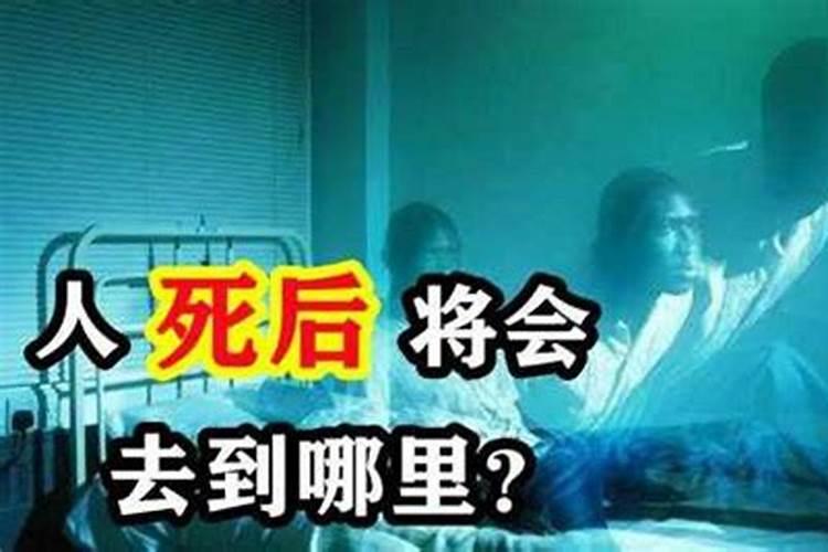 为什么人会死呢，人死之后会去哪里