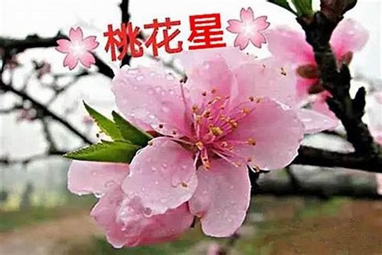 八字里怎么看桃花