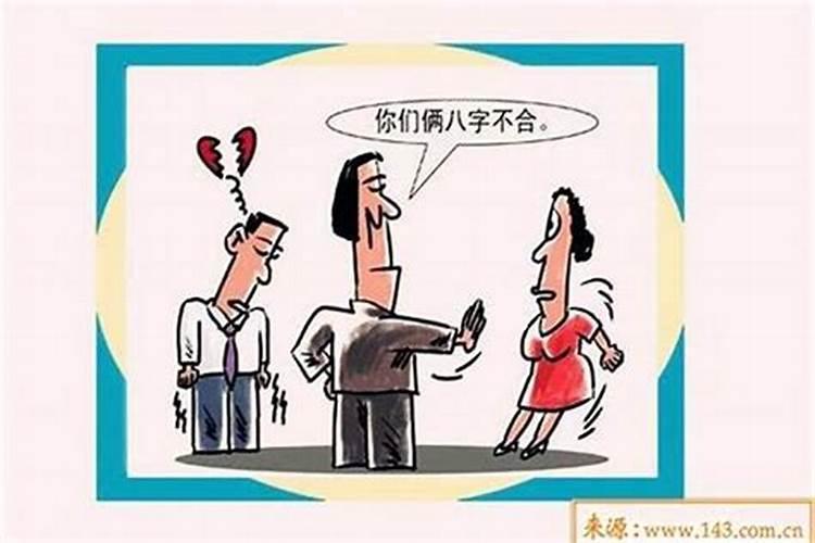 什么属相合婚