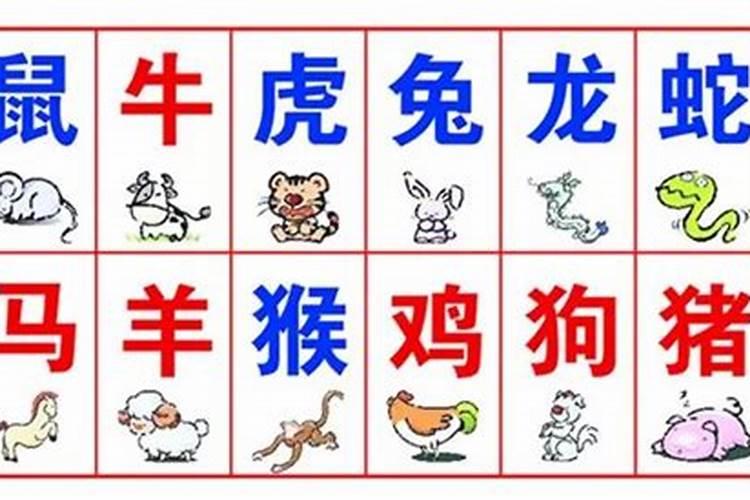 生肖八字三合的怎么样