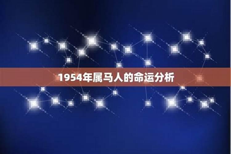 1954年属马的人以后的命运