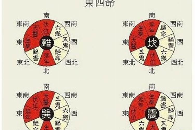 东四命西四命能合婚吗