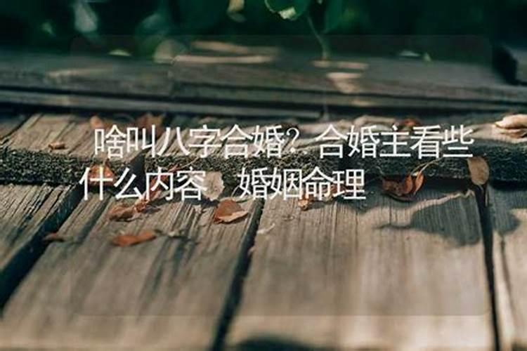 算命中的主婚姻是什么意思