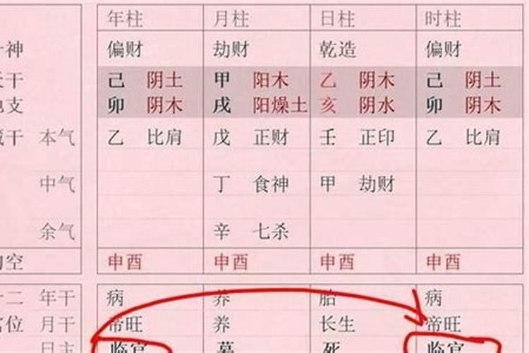 八字假从格什么意思