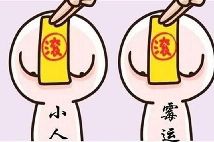 属兔防小人什么生肖