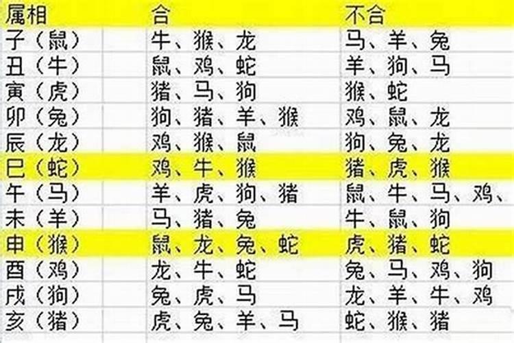 2023壬寅年怀男孩的八字