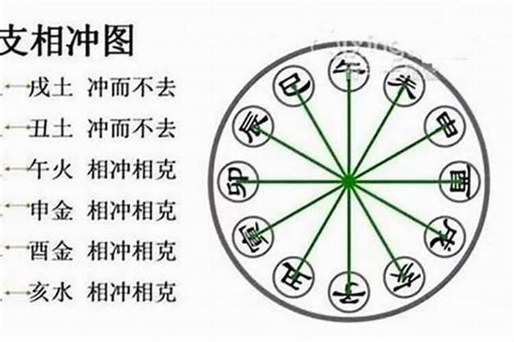 八字里的五合是什么