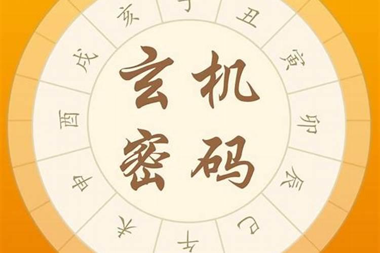 八字命理风水易经