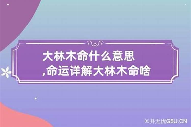 大林木命啥意思？