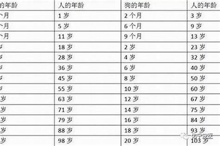 2022年本命年多少岁