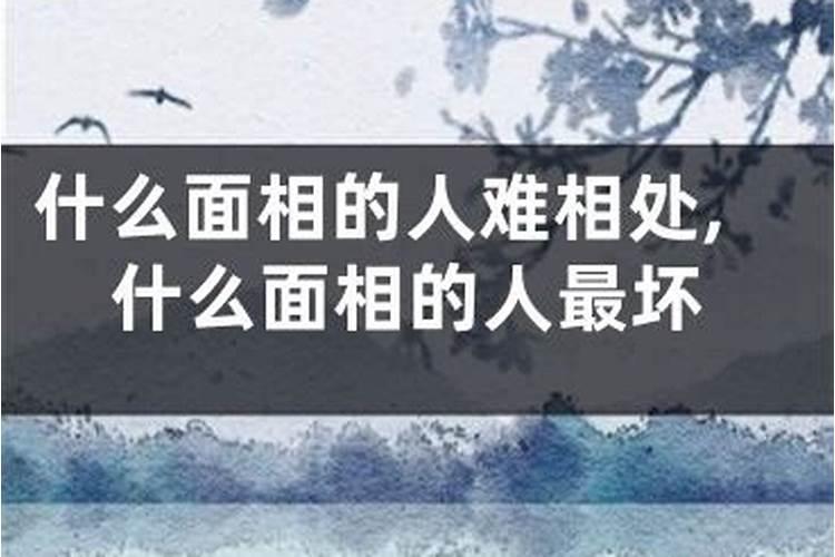 属兔人今年犯太岁