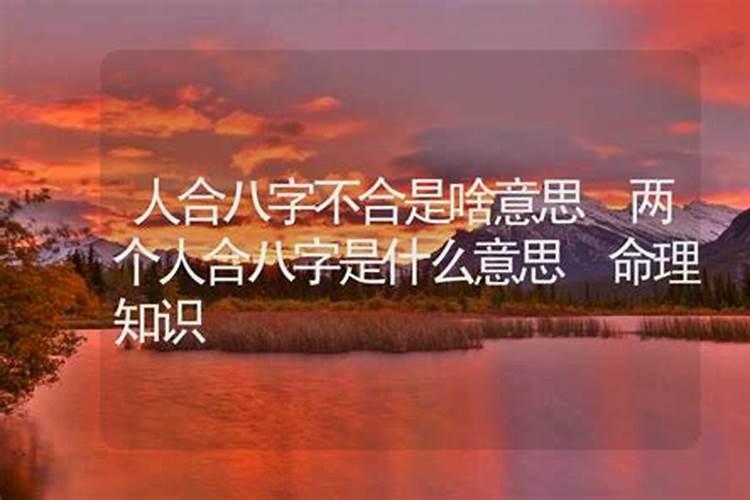 两个人八字硬合是什么意思