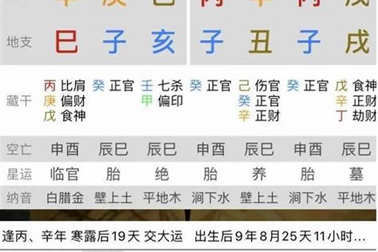 八字辛丑丙子合什么