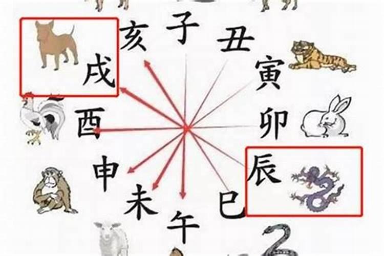 温州算八字