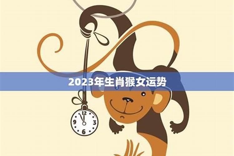 查看2023年运势猴