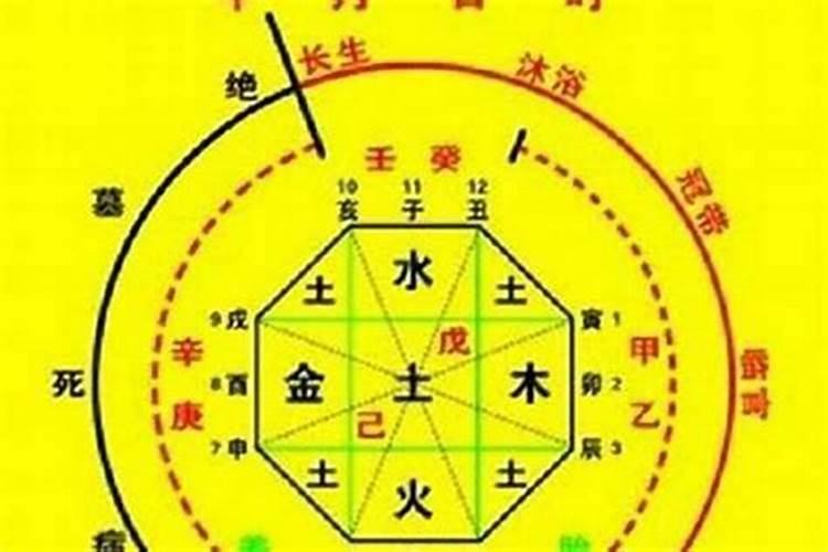 怎样查孩子的五行属性和属性是什么