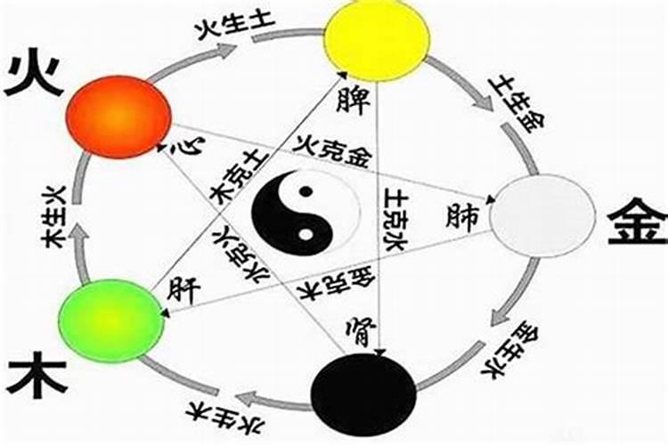 怎样查孩子的五行属性和属性是什么