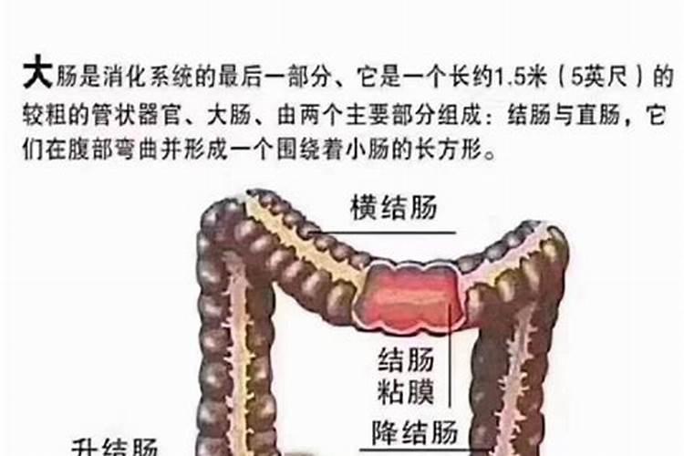 请帮忙解释一下心灰意冷是什么意思