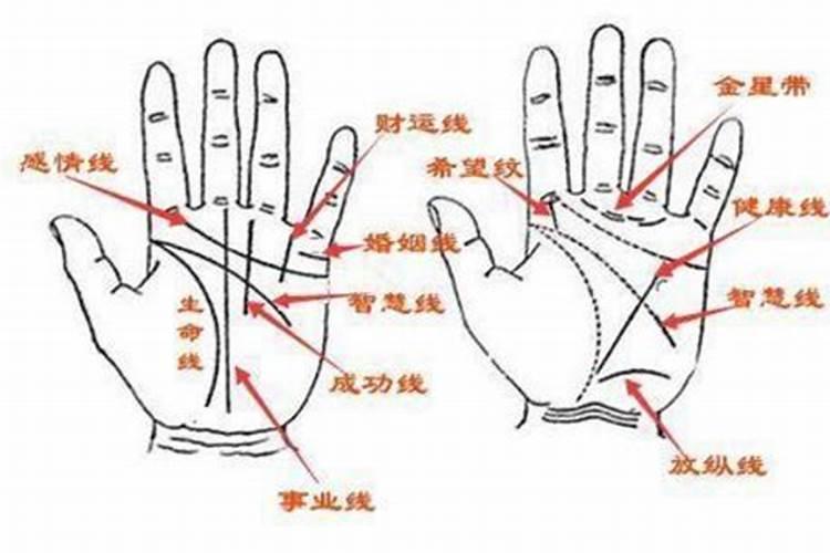 婚姻线怎样算适中