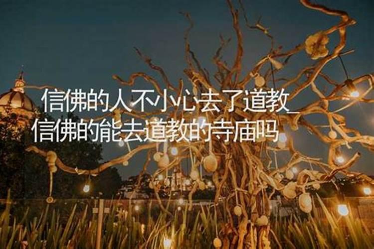 不信佛的人可以去寺庙吗